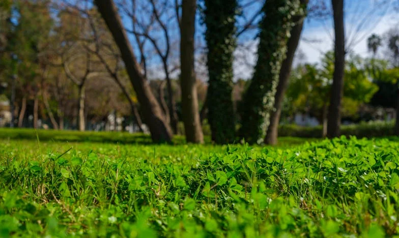 Între două lumi: Povestea unui tată pierdut