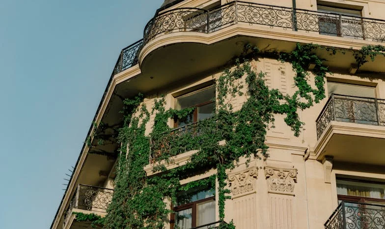 Scrisoarea care mi-a schimbat viața: Povestea mea între două familii