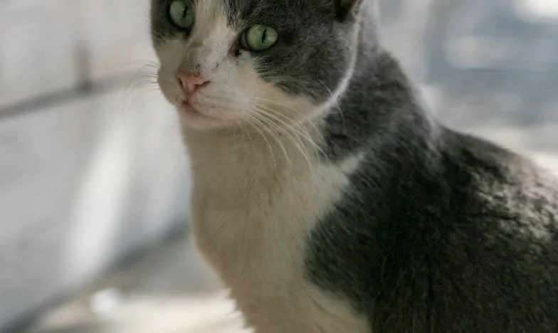 Când lumea mea s-a întors împotrivă: Mama mea și fostul meu, aliați împotriva mea