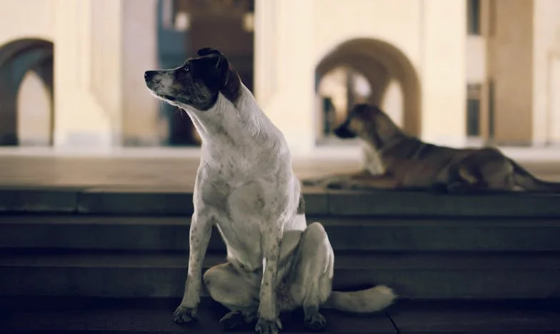 Când orgoliul devine o închisoare: Povestea mea despre familie, control și pierdere