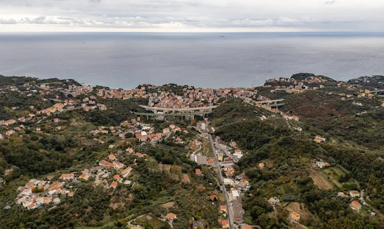 Când sângele nu mai leagă: Povestea unei moșteniri care a destrămat o familie românească