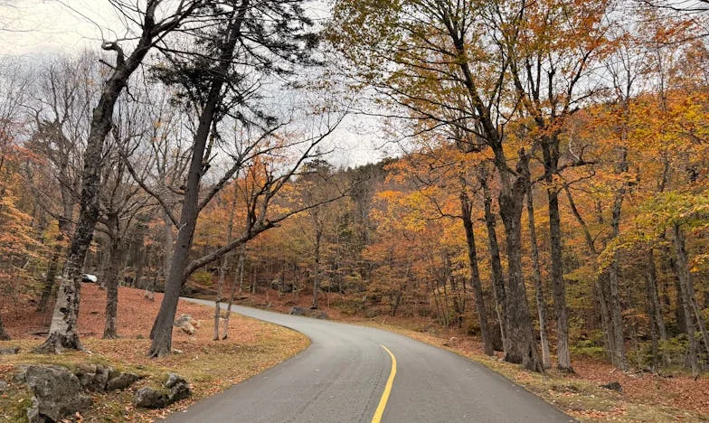 Când viața te trădează: Povestea Anei, o mamă singură din Ploiești