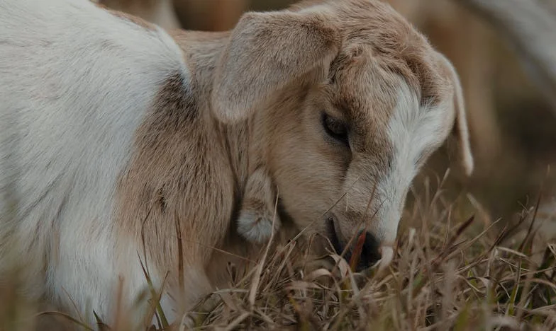 Când viitorul aduce încercări – adevărata față a familiei. Povestea mea despre iubire, trădare și lupta pentru copilul meu