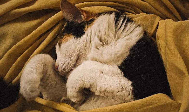 Fiul meu, străinul de lângă mine: Adevărul pe care nu am vrut să-l văd