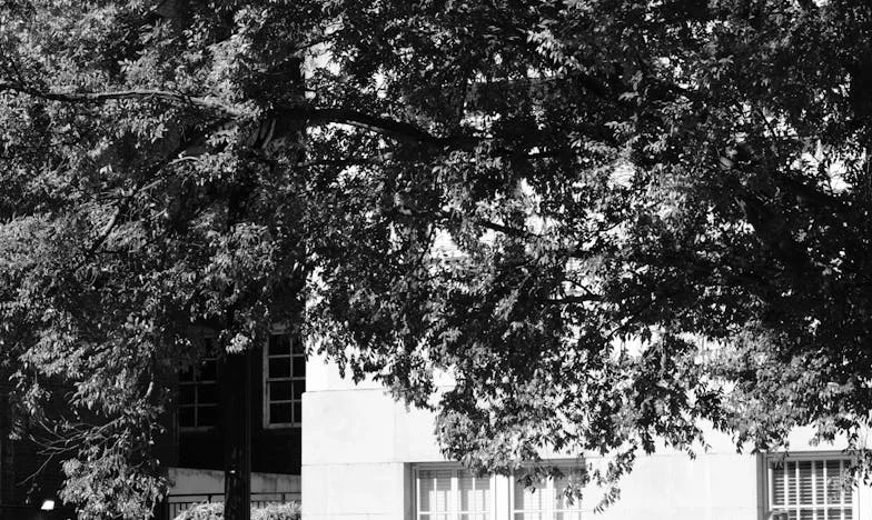 Între două lumi: Povestea mea între fiica mea și tatăl vitreg bătrân