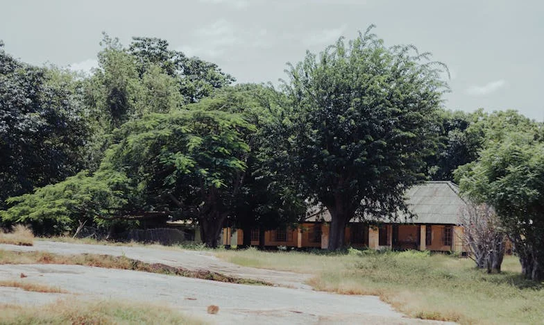 Între dragoste și tăcere: Povestea unei bunici sfâșiate