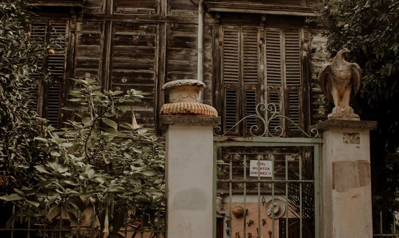 Între fericirea fratelui meu și așteptările mamei: Cronica unei familii sfâșiate