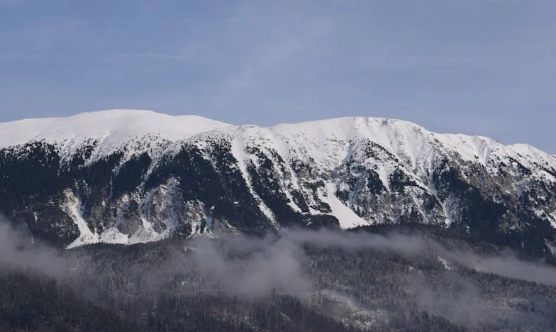 „Mamă, ți-am dat bani: de ce copiii nu au fost hrăniți?” – Descoperirea care mi-a sfâșiat familia