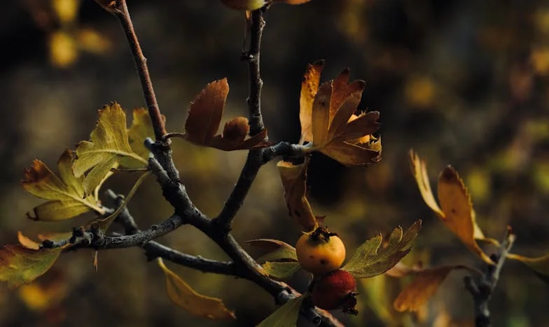 Noaptea în care mi-am dat afară fiul și nora: Povara unei mame între dragoste și demnitate