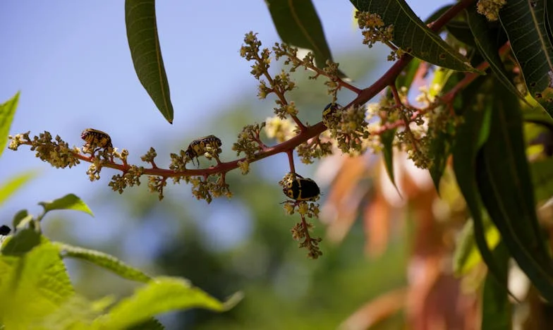 Nu mai pot avea încredere în soacră: ziua care mi-a schimbat viața pentru totdeauna