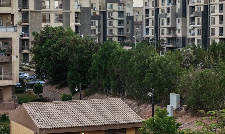 Portofelul lui Vlad, închisoarea mea: Povestea unei femei care a uitat să viseze