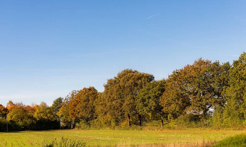 Singură împotriva satului: Povestea unei mame singure din inima Moldovei