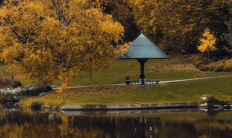 Sub același acoperiș: Lupta mea pentru un colț de liniște