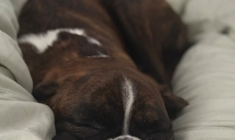 Umbrele unei decizii: Povestea unei mame între datorii și dorul de copii