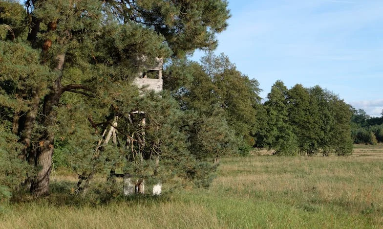 Un telefon care mi-a schimbat viața – povestea Anei din București