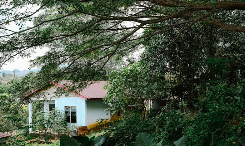 Adevărul care doare: Mărturisirea bunicii mele