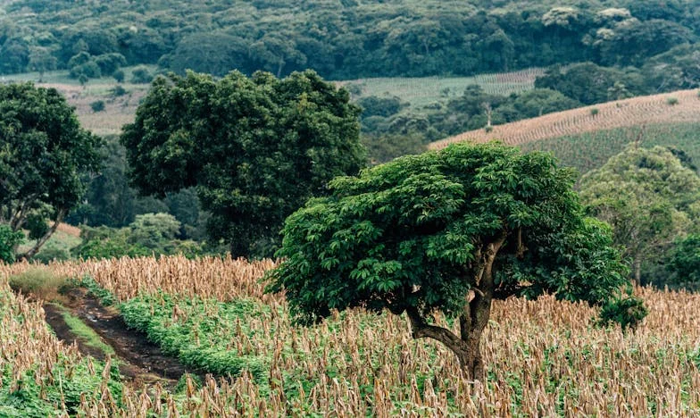 Am dat totul pentru tine, dar acum nu mai am loc în viața ta – Mărturia unei mame rănite