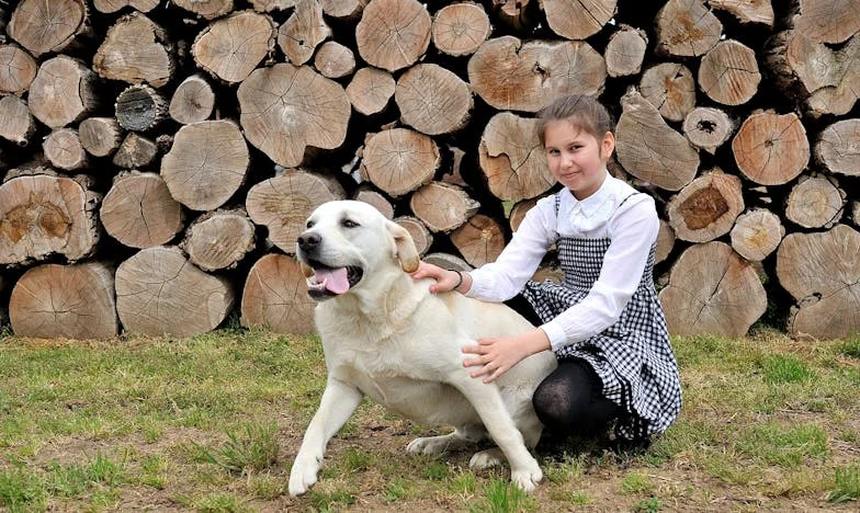 Am plecat după 40 de ani: curajul de a-mi trăi viața la 62 de ani