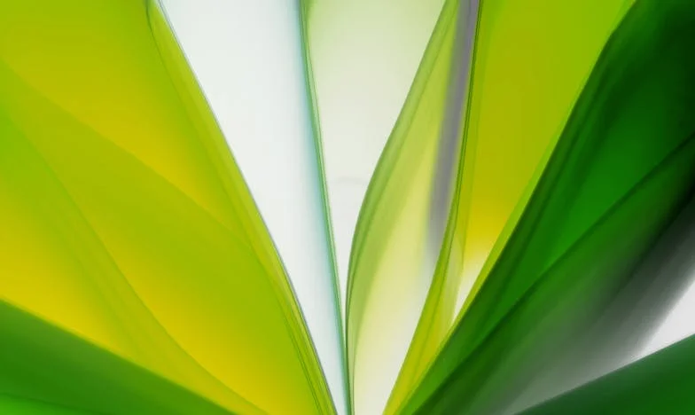 Cadoul care mi-a distrus căsnicia: Povestea Anei și a lui Radu