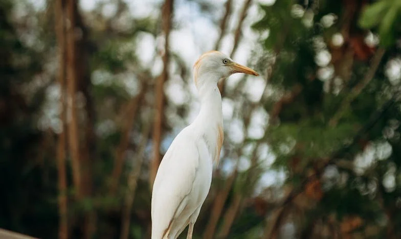 Când acasă devine străin: Povestea unei familii din București forțate să-și piardă locuința