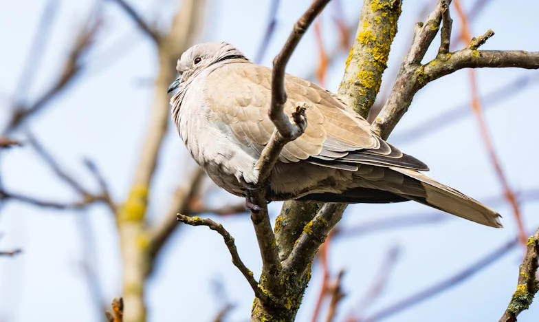 Când am spus prima dată „nu” mamei mele: Povestea unei libertăți dureroase