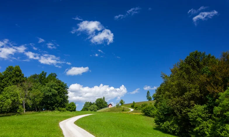 Când bărbatul meu a plecat după pâine și nu s-a mai întors: Povestea unei vieți trăite între speranță și adevăr