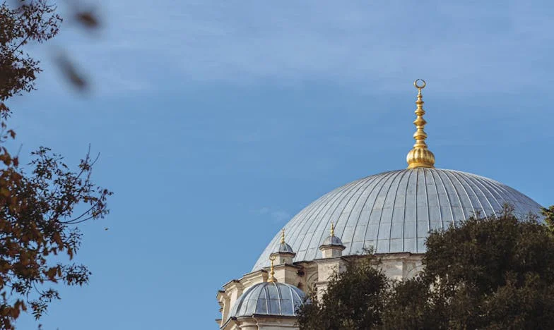 Când Florile Dor: Povestea Unei Iubiri Frânte