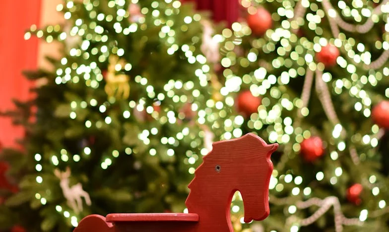 Când Nimeni Nu Mă Așteaptă: Povestea Unei Uși Închise