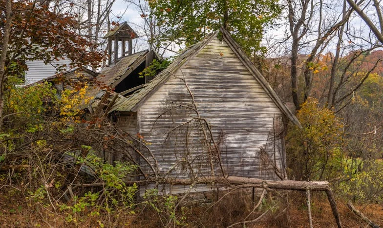 Când sângele nu mai e apă: Povestea unei familii sfâșiate de invidie