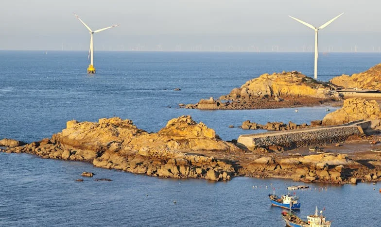 Când sângele nu mai leagă: povestea unei surori pierdute în lupta pentru moștenire