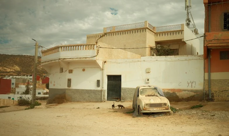 Cât costă dragostea unei bunici?