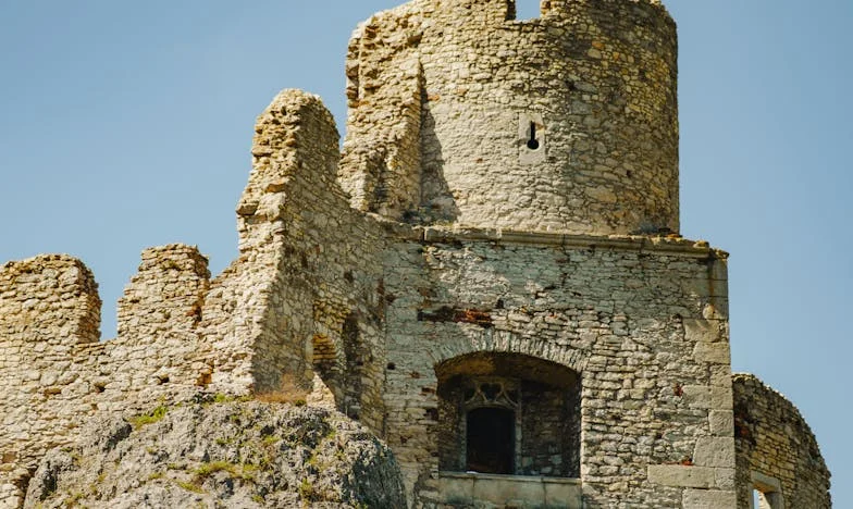 Cutia de pantofi din șifonierul bunicii: O poveste despre secrete, iertare și regăsire