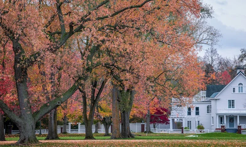 Inima mea pe muchie de cuțit: Povestea unei mame din România între sacrificiu și regăsire