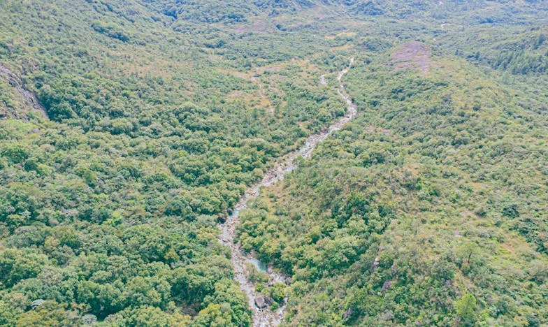 Între două iubiri: Cum vizitele mamei mele au destrămat liniștea familiei mele