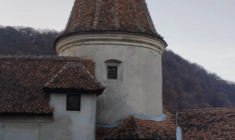 Între dragoste și datorie: Povestea mea despre alegerea imposibilă