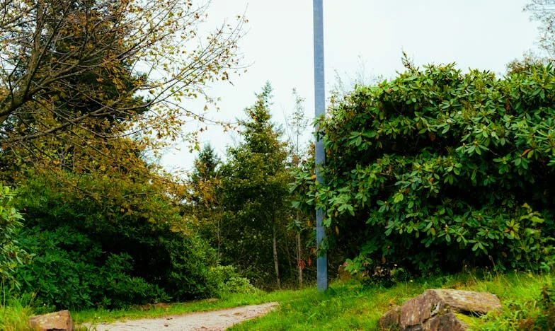 Între Mama și Soț: Lupta Mea Pentru Propriul Glas