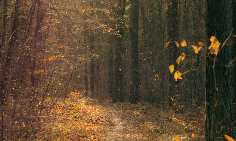 Nu va mai trece pragul casei mele: povestea mea despre limite, curaj și familie