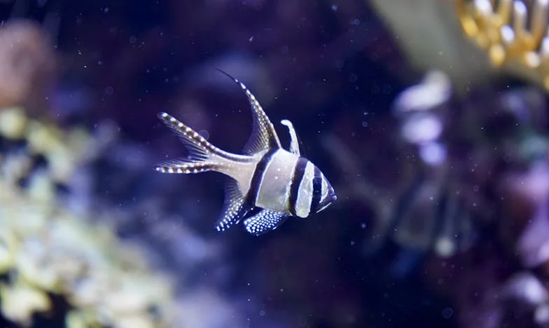 O cameră, patru suflete: Povestea unei mame între datorie și iubire