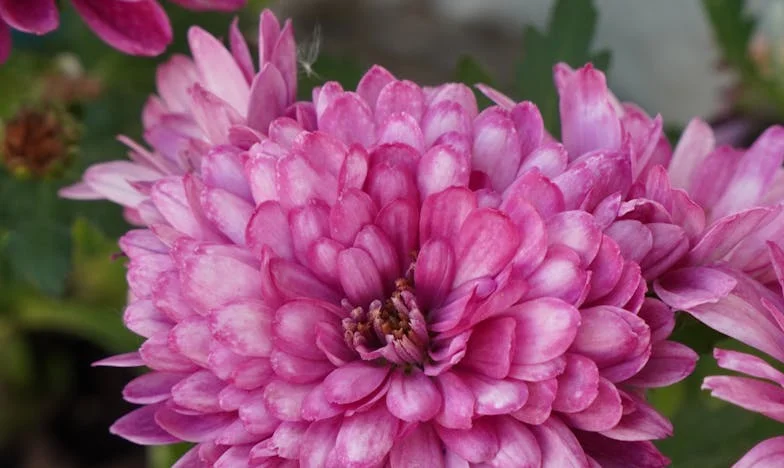 O decizie care m-a rupt: Povestea Anei din Ferentari