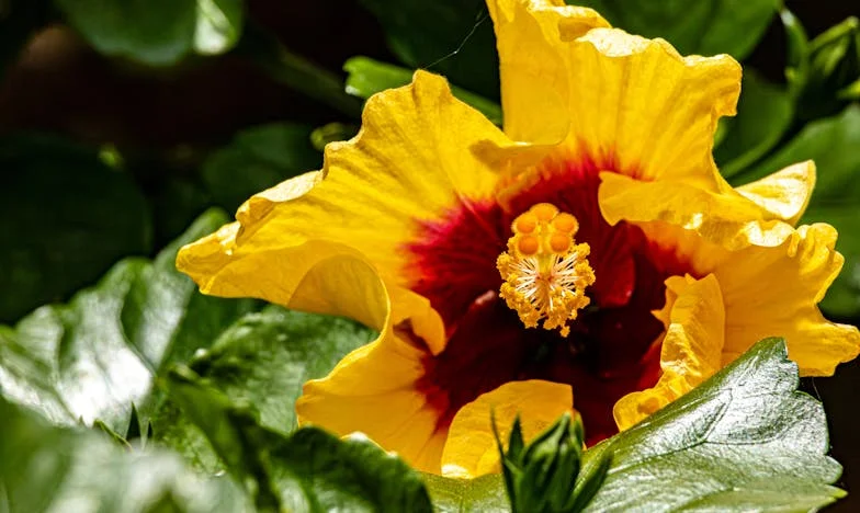 O vizită neașteptată care a schimbat totul: Povestea unei împăcări cu trecutul