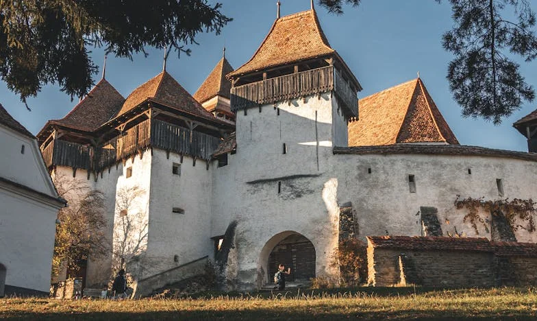 Umbra adevărului: După moartea lui Radu