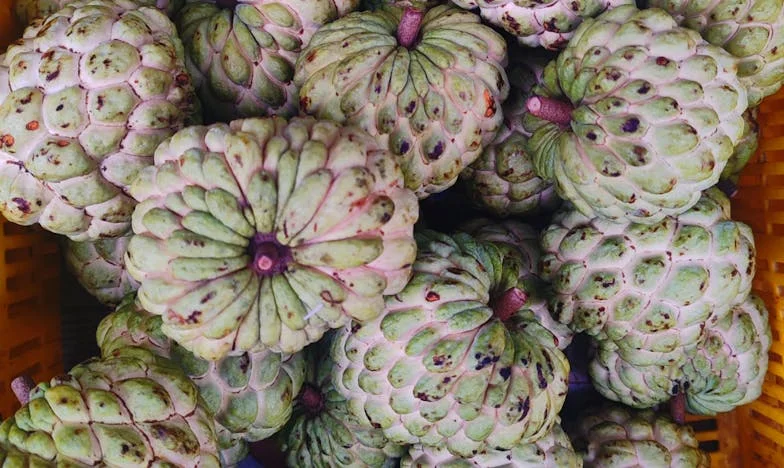 Vara de care nu voi uita niciodată: Între valurile mării și furtunile din familie