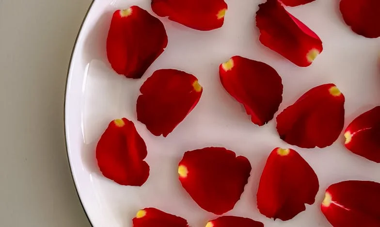 Vilele lor, ipoteca noastră – Povestea mea despre lupta pentru un cămin și o familie în umbra socrilor bogați