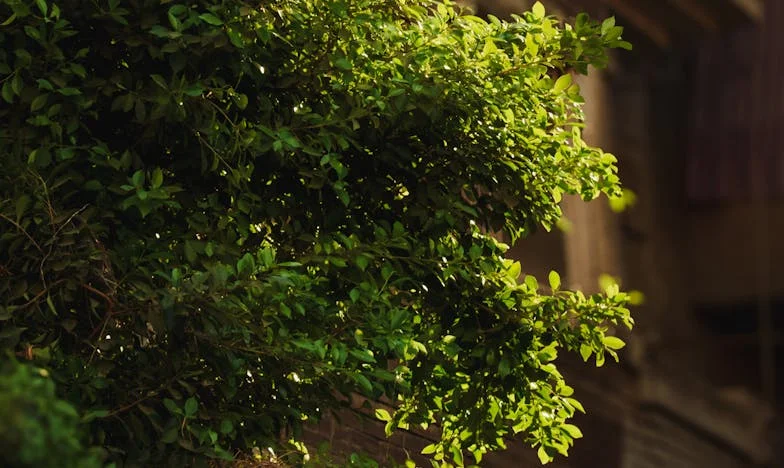 A plecat după pâine și nu s-a mai întors niciodată: Povestea dispariției lui Radu