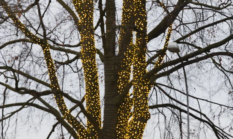 Am crezut că am un ginere perfect... până când mi-a cerut bani pentru că am avut grijă de nepoata mea