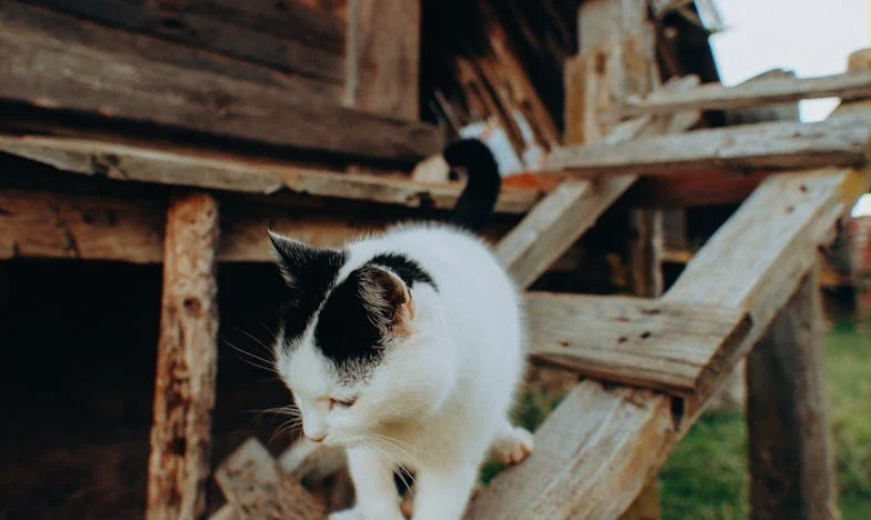 Când boala fiicei mele a scos la iveală adevărul: povestea unui tată care a fost nevoit să o ia de la capăt