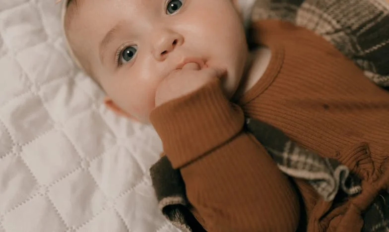 Casa visurilor mele, prețul trădării: Povestea unei surori