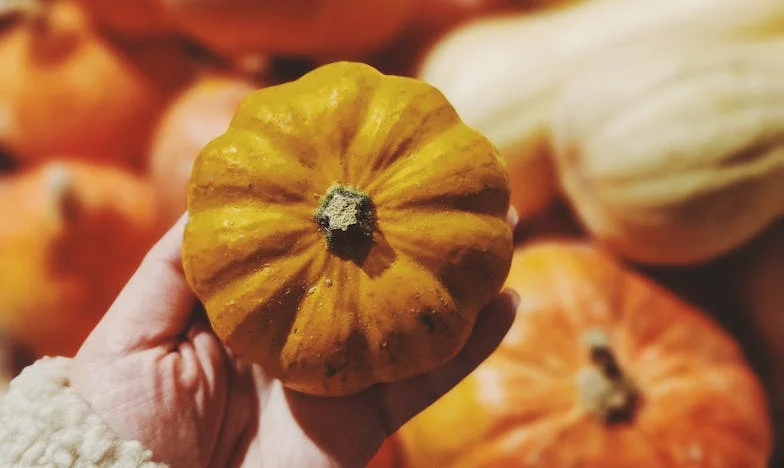 De ce am rupt legătura cu familia soțului meu – povestea unei limite dureroase