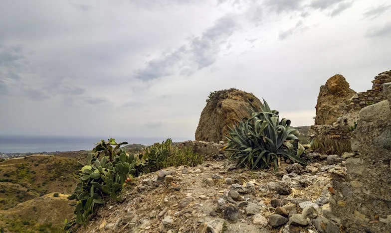 „Doar pentru puțin timp” – Trei ani în umbra propriei mele vieți