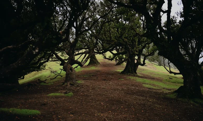 Exclusă de la nunta fiicei vitrege: Am fost vreodată parte din această familie?